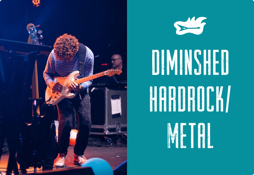 Diminshed - Hardrock/metal