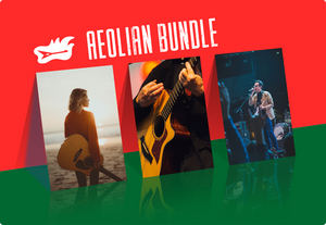 Aeolian bundle